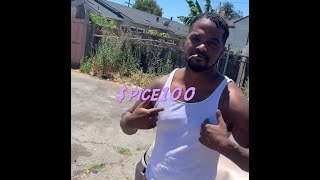 $pice100 - Up’s and Downs (music video)