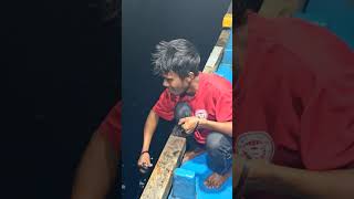 trailernya aja seru ketika tunanya ngamuk apalagi segera tayang bikin penasaran😄#fishing