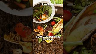 How Composting Works?