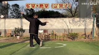 Xing Yi Bagua Palm  形意八卦掌 of Zhang Zhaodong