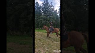 My coach rides Roy for the first time!! #horse #equestrian #learning