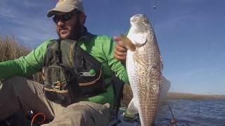 1 Redfish, 3 Go Pros