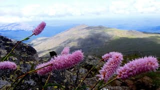 Конжаковский  камень. Природа  без слов. Северный Урал. Уральские горы. Горная река  Лобва.