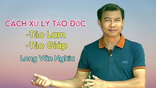 Cách xử lý tảo độc trong nuôi tôm