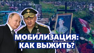 Как выжить при мобилизации: советы и новый проект