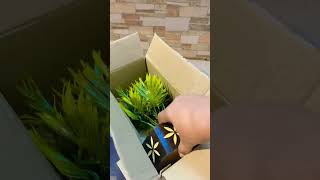 Green leaves pot..👌beautiful #houl #youtubeshorts #fastivalvlog #mesho #flowerpots