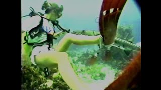 Clips from Scuba Diving Travel Show 1990s