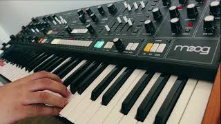 Moog Muse - Arps and Pads