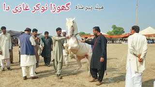 Horse dance 2023 dhamal | ghoda nokar ghazi da mela peer shah