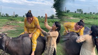 Beautiful Girl Buffalo Riding | Unseen Pakistani Village Life |  Ancient Culture | Stunning Pakistan