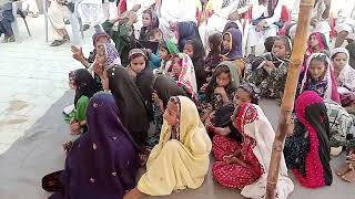 Best Sindhi Song on culture day GBLSS Aasrario Taluka Dahli district Tharparkar