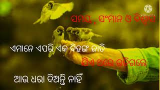 Time-Respect-Faith:Subicharଅନୁଚିନ୍ତନ