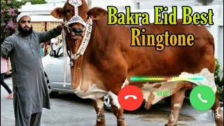 Best Arabic Naat Ringtone | Trending New Naat | Eid Ul Azha | Bakra Eid Mubarak | Arabic Naat