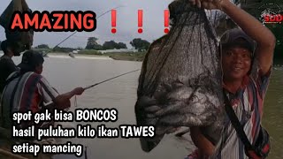 VIRAL ❗❗❗ spot gak bisa boncos hasilkan puluhan kilo sekali mancing