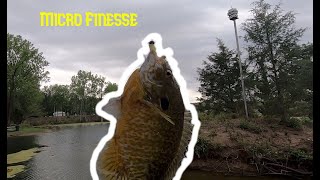 Bluegill Fishing with Zman Micro Finesse TRD