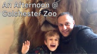 Colchester Zoo January 2018