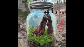 EASY mini terrarium in a jar