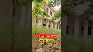 Enjoy at college 😁 #hauntedplace #vlog #english