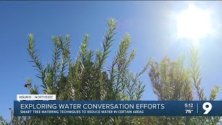 U of A, ASU researchers testing smart tree watering techniques in urban heat-effected areas