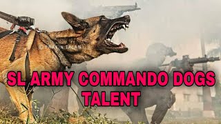 COMMANDO DOGS | dogs talent | sri lanka army video #police_ballo #police_dogs #tallent_show