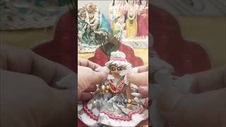 Hamari Lal ji bahut Chhote Se Hain# Laddu Gopal# viral short# video#🙏🌺