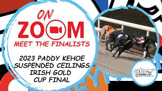 Paddy Kehoe Suspended Ceilings Irish Gold Cup Finalists | RPGTV Zooms