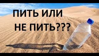 пить или не пить?-и сколько?