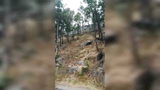 Natural view#youtube #videos#youtube  videos#rain#hill view#Amir Shah VLOGS