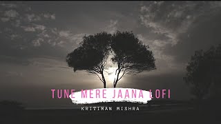 Tune Mere Jaana Lofi | Remake | Slow & Reverb | Lofi Remix | Bollywood Lofi |  @KritimanMishra