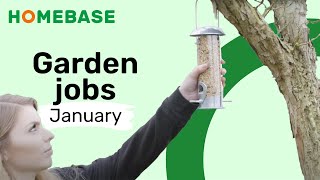 Garden Diary: January - Feed the birds, compost your Christmas tree and protect your plants