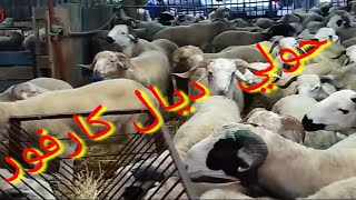 اجي تشوف الفرق بين الحولي ديال  مرجان والحولي ديال  كارفرور