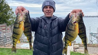 Spring 2023 - Lake Simcoe Perch Fishing