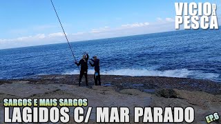 VICIO DA PESCA #25 - PESCA AOS SARGOS COM MAR PARADO - QUEM ESCOLHE O PESQUEIRO É O MARCELO🐟🐟