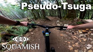 Pseudo-Tsuga - Squamish 2024