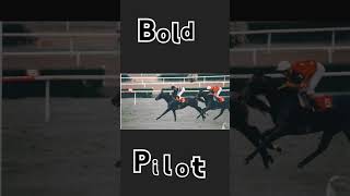 ~Bold Pilot~ ❤ #boldpilot