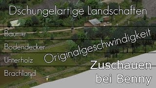 [Originalgeschwindigkeit] Dschungelähnliche Landschaften — Zuschauen bei Benny