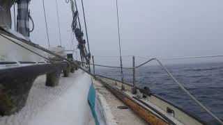 Approaching Coos bay after a long 72+ hour cruise from Neah bay