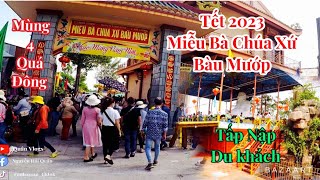 Miễu Bà Chúa Xứ Bàu Mướp Tịnh Biên An Giang - Tấp Nập Du Khách Đến Cầu An Tết 2023 | Quân Vlogs |#76