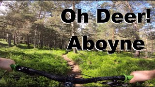 Oh Deer! - Aboyne - Solo Enduro 2020 Stage 2