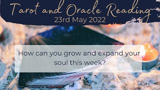 🔮 Weekly Forecast Tarot Reading for 23rd May 2022 🔮