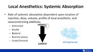 ITE Review | Regional Anesthesia: Physiology and Pharmacology - Dr. Johnson