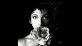 Kate Bush - Deeper Understanding (FULL AUDIO)