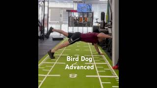 Bird Dog advanced. Core exercise.