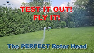 Putting the Perfect Rotor Head to the TEST!! Flight by Diego Arce