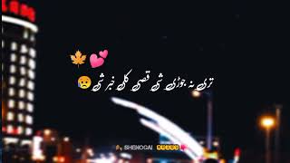 pashto sad song status||pashto song Whatsapp status #viralstatus #viral #pashtotiktoksong #status