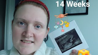 14 weeks pregnancy update symptoms and scan photos