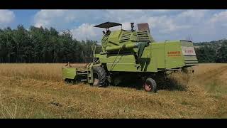 Żniwa 2020 || Claas | Case | Ursus || Małopolska || MrRolnik594