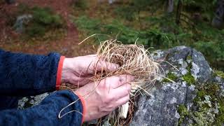 Making fire like the Vikings, with fire steel and charred cotton as tinder