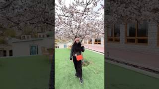 Posing with the apricot tree: proof that we both ripen with age 😂 #leh #ladakh #travel #viral #reel