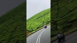 Munnar trips#munnar#trip #himalayanexperience#nature#trendingshorts